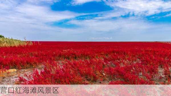 营口红海滩风景区