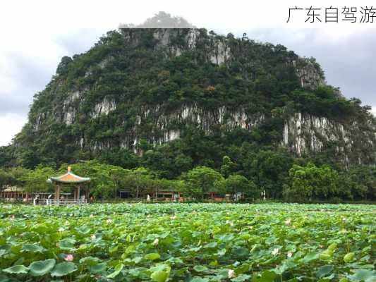 广东自驾游