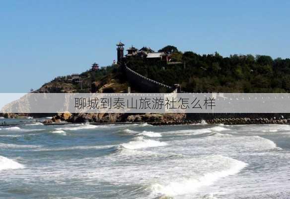 聊城到泰山旅游社怎么样