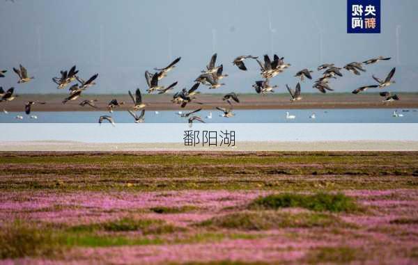 鄱阳湖