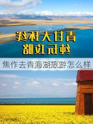 焦作去青海湖旅游怎么样