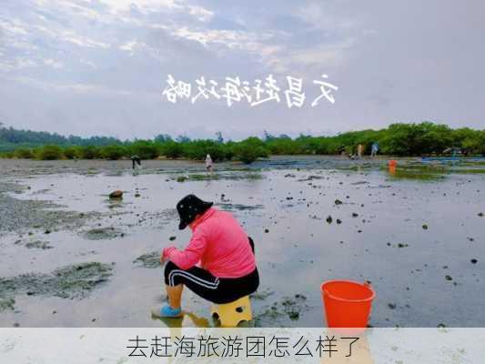 去赶海旅游团怎么样了