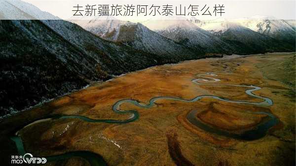 去新疆旅游阿尔泰山怎么样