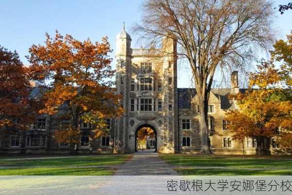 密歇根大学安娜堡分校