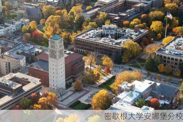 密歇根大学安娜堡分校