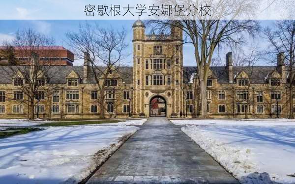 密歇根大学安娜堡分校