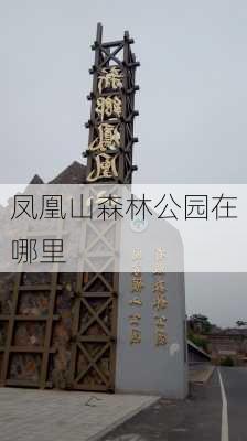 凤凰山森林公园在哪里