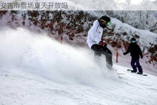 安吉滑雪场夏天开放吗