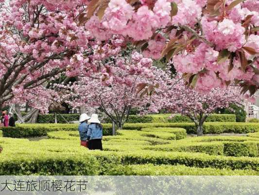 大连旅顺樱花节