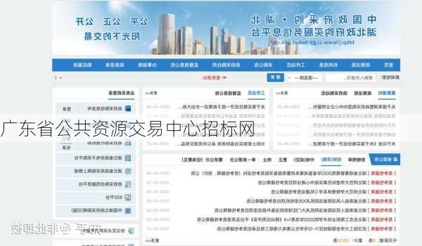 广东省公共资源交易中心招标网