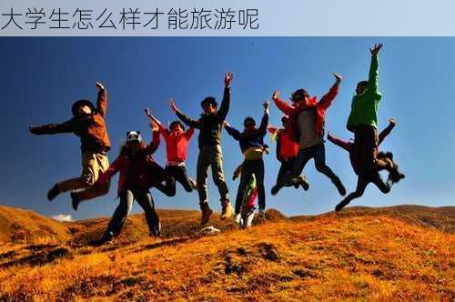 大学生怎么样才能旅游呢