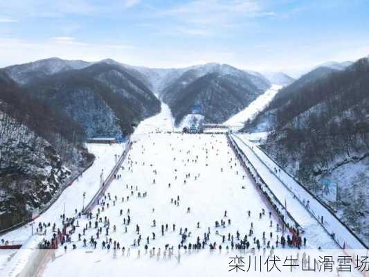 栾川伏牛山滑雪场