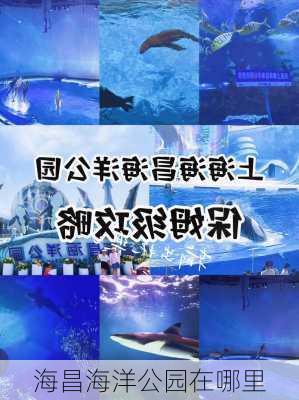 海昌海洋公园在哪里