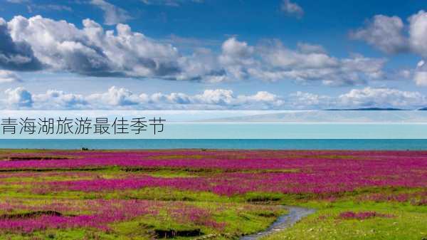 青海湖旅游最佳季节