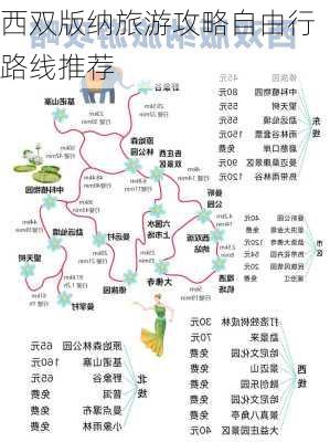 西双版纳旅游攻略自由行路线推荐