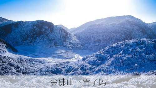 金佛山下雪了吗