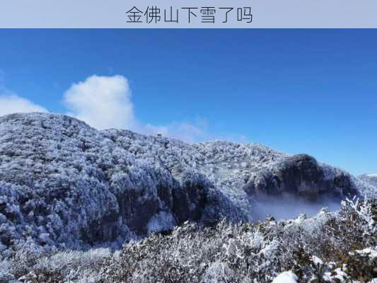 金佛山下雪了吗