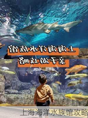 上海海洋水族馆攻略