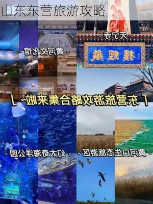 山东东营旅游攻略