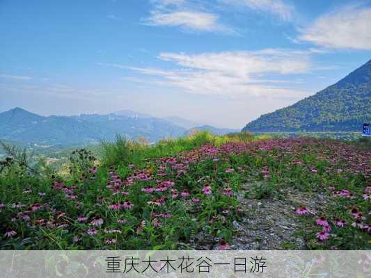 重庆大木花谷一日游