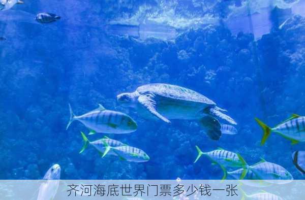 齐河海底世界门票多少钱一张