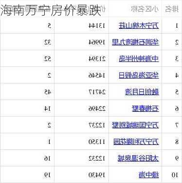 海南万宁房价暴跌