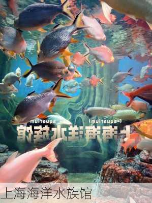 上海海洋水族馆