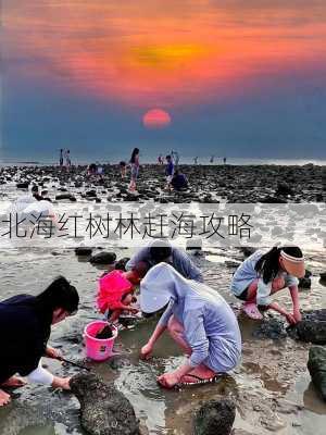 北海红树林赶海攻略