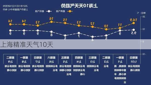 上海精准天气10天