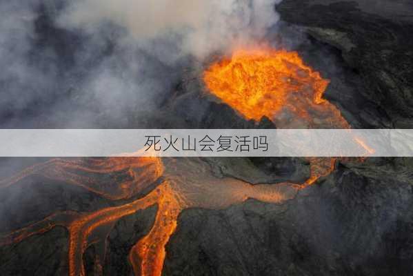 死火山会复活吗