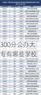 300分公办大专有哪些学校