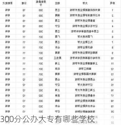 300分公办大专有哪些学校