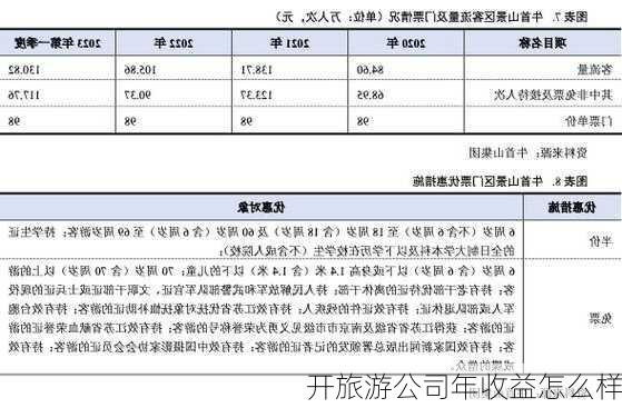 开旅游公司年收益怎么样