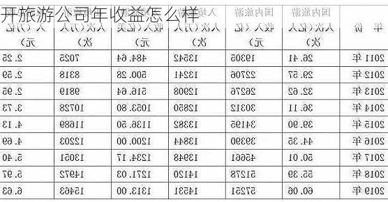 开旅游公司年收益怎么样