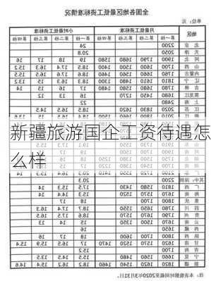 新疆旅游国企工资待遇怎么样