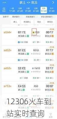 12306火车到站实时查询