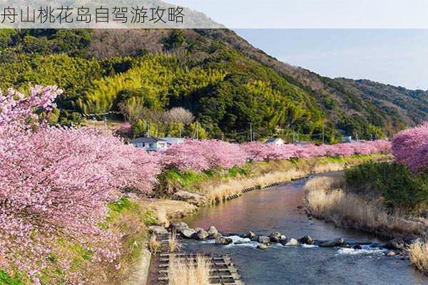 舟山桃花岛自驾游攻略