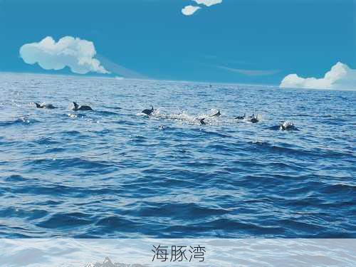 海豚湾