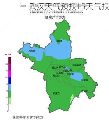 武汉天气预报15天气报