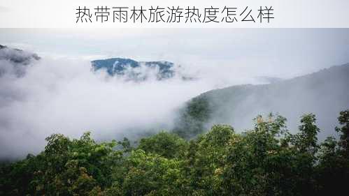 热带雨林旅游热度怎么样