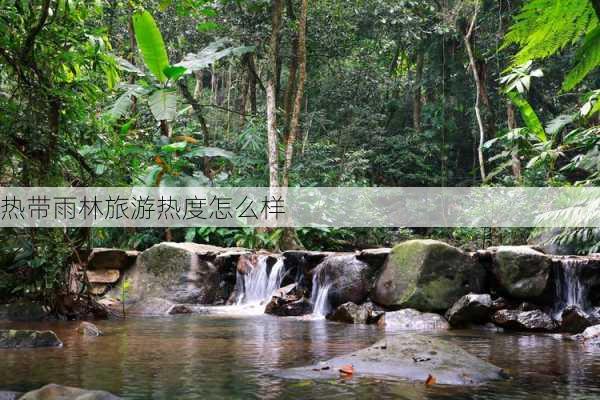 热带雨林旅游热度怎么样