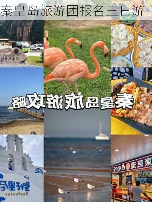 秦皇岛旅游团报名三日游