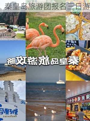 秦皇岛旅游团报名三日游