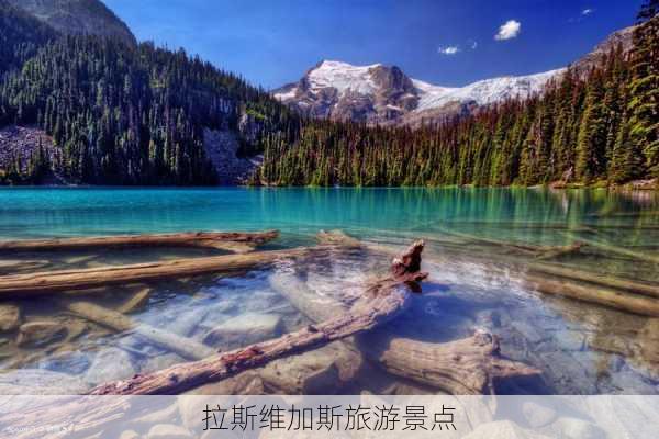 拉斯维加斯旅游景点