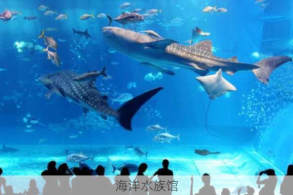 海洋水族馆