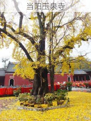 当阳玉泉寺