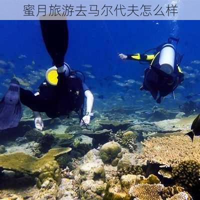 蜜月旅游去马尔代夫怎么样