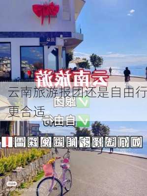 云南旅游报团还是自由行更合适