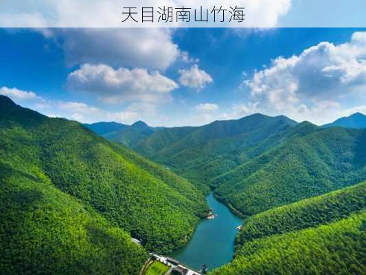 天目湖南山竹海