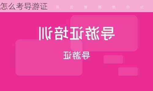 怎么考导游证